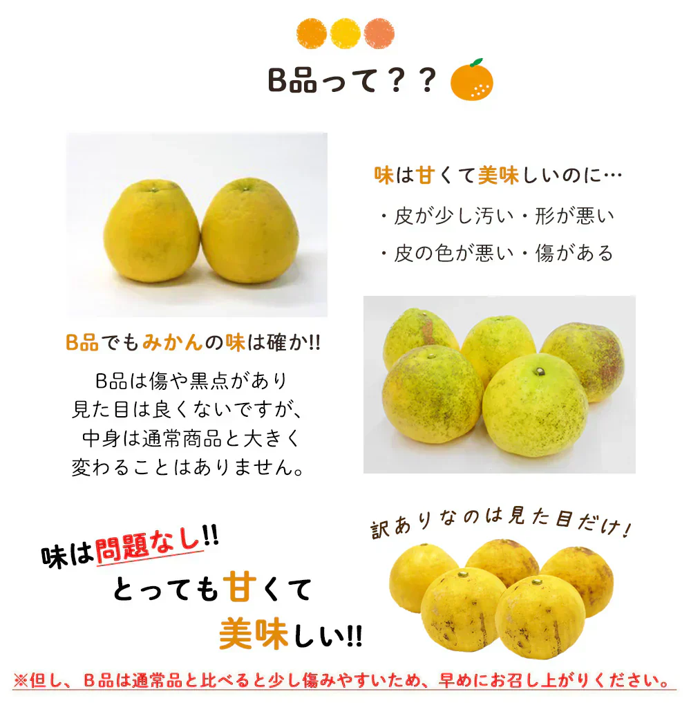 河内晩柑 Ｂ級品 (4kg) ※中玉・大玉MIX 訳あり  晩柑 ご家庭用 箱買い B品 サイズミックス 柑橘 みかん フルーツ 果物 産地直送 愛媛県産