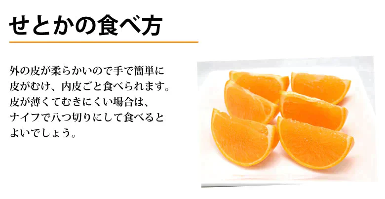 せとか みかん 送料無料 ハウス栽培 秀品 2kg 希少品種 熊本県産 蜜柑 清見 アンコール マーコット