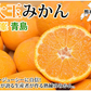 大玉みかん 10kg 2L～4L 秀品 金峯 青島 みかん 送料無料 温州みかん 熊本県産 蜜柑 ミカン フルーツ