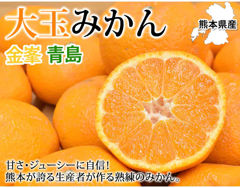 大玉みかん 10kg 2L～4L 秀品 金峯 青島 みかん 送料無料 温州みかん 熊本県産 蜜柑 ミカン フルーツ