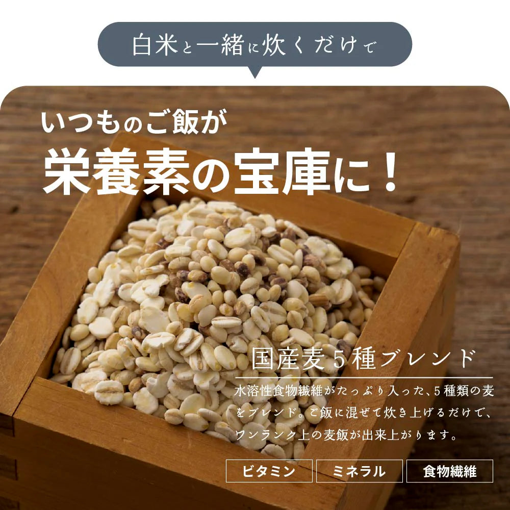 雑穀 雑穀米 国産 麦５種ブレンド 4kg(400g×10袋) [丸麦/押麦/はだか麦/もち麦/はと麦] 無添加 無着色 徳用サイズ 送料無料