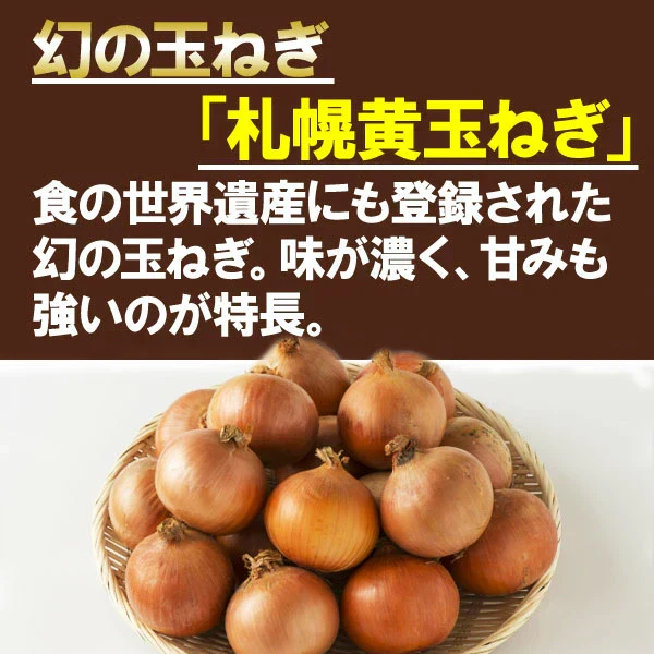 スープ 玉ねぎ 生姜入　オニオンスープ 北海道産 送料無料 10食 札幌黄