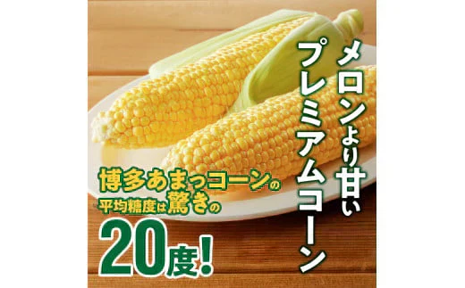 農家直送！メロンより甘い！博多あまっコーン4.5㎏（約12本）（冷凍）