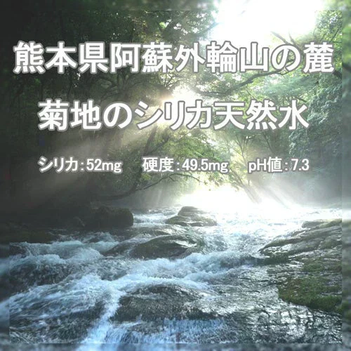 【1ケース】  【ラベルレス】くまモン 天然水 500ml 42本 シリカ水 阿蘇外輪山 水 国産 ミネラルウォーター 熊本 シリカウォーター  シリカ ケイ素水 軟水