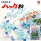 永田製飴 ハッカ飴【100g×3個セット】新千歳空港 お土産 個別包装