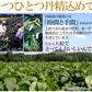 訳あり無選別！高級丹波黒豆しぼり甘納豆どっさり600ｇ