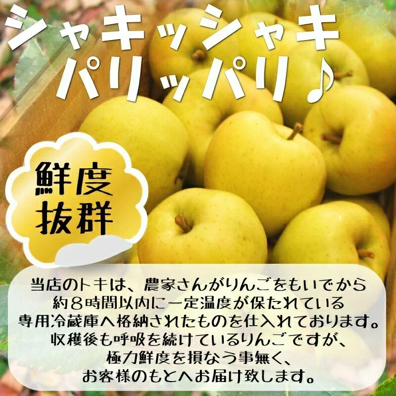 即日発送！青森県産 りんご トキ 10kg箱 家庭用/訳あり ★トキ 家訳 10kg箱