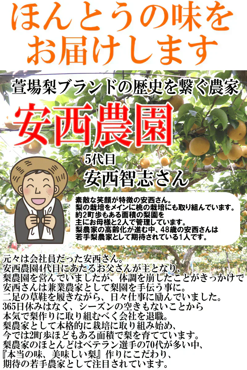 福島県産　梨　なし　5kg箱　★秀品★品種おまかせ