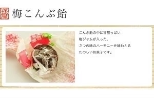 [昆布のおやつお試し5袋セットB] ソフトこんぶ飴 梅こんぶ飴 ちょこまる。根こんぶ飴 酢こんぶ 送料無料 グルメ食品　昆布源蔵屋 お試しB