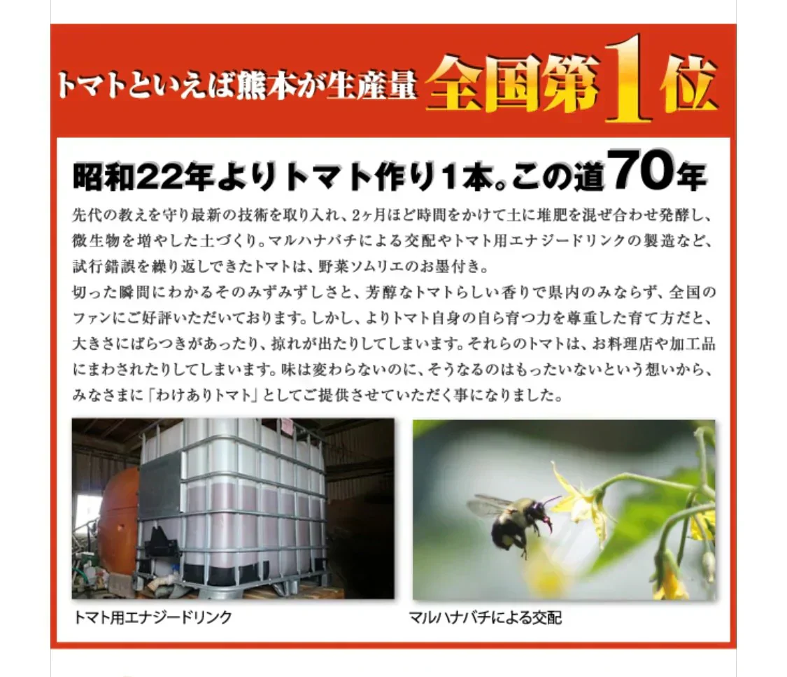 【特別栽培農産物】送料無料 受賞歴３回！ ソムリエ トマト ４～５ｋｇ（１８～２８玉）