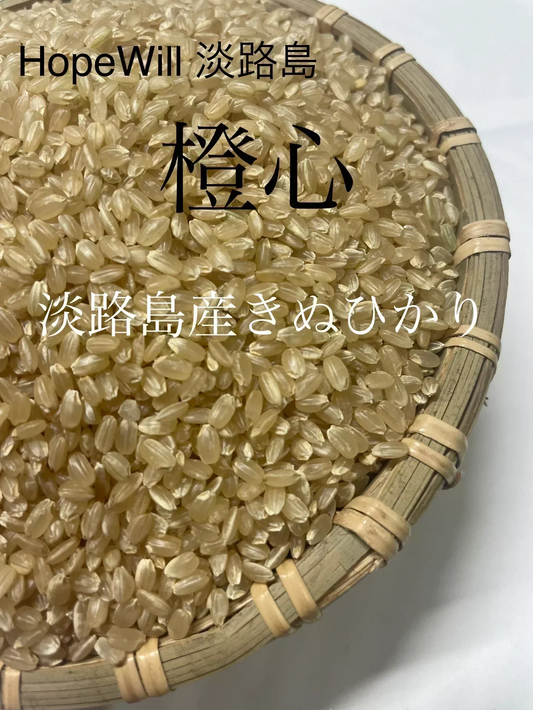 玄米10kg🌾淡路島からのキヌヒカリ玄米10kg ❣️令和7年度産