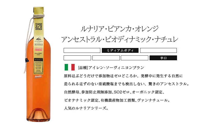 【送料無料】 自然派 ナチュール オレンジワインセット第1弾[750ml×6本]【北海道・東北・四国・九州・沖縄県は必ず送料がかかります】