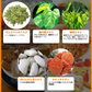 healthylife カロリパクパク【 ギムネマ インゲン 水溶性食物繊維 カロリーを気にする方に！配合ダイエットサプリメント】９０粒 約３０日分  白インゲン豆エキス キチンキトサン ギムネマシルベスタエキス 桑の葉エキス 緑茶エキス 配合 おすすめ 人気 ランキング 効果 強力 最強 通販 日本製 国産 健康サプリ 健康食品