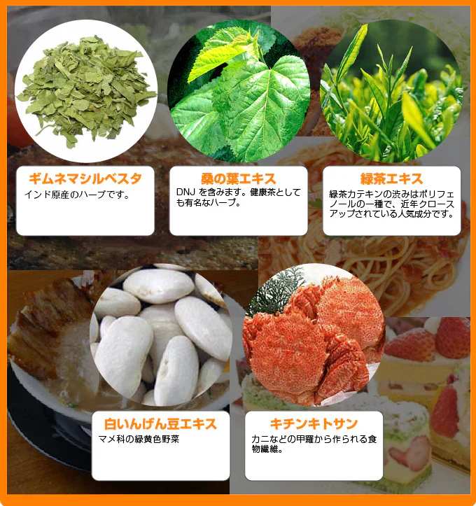 healthylife カロリパクパク【 ギムネマ インゲン 水溶性食物繊維 カロリーを気にする方に！配合ダイエットサプリメント】９０粒 約３０日分  白インゲン豆エキス キチンキトサン ギムネマシルベスタエキス 桑の葉エキス 緑茶エキス 配合 おすすめ 人気 ランキング 効果 強力 最強 通販 日本製 国産 健康サプリ 健康食品