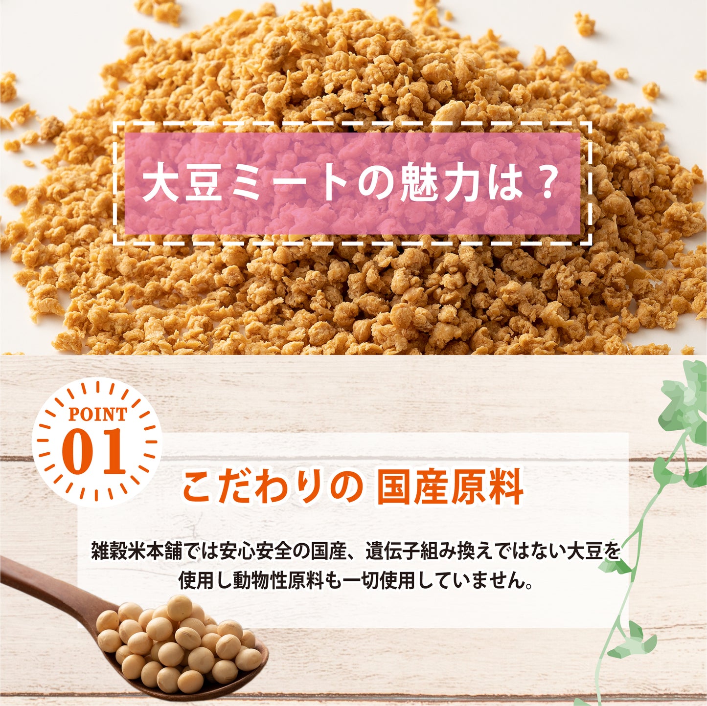 雑穀 雑穀米 国産 大豆ミート(ミンチ) 2kg(500g×4袋) 送料無料