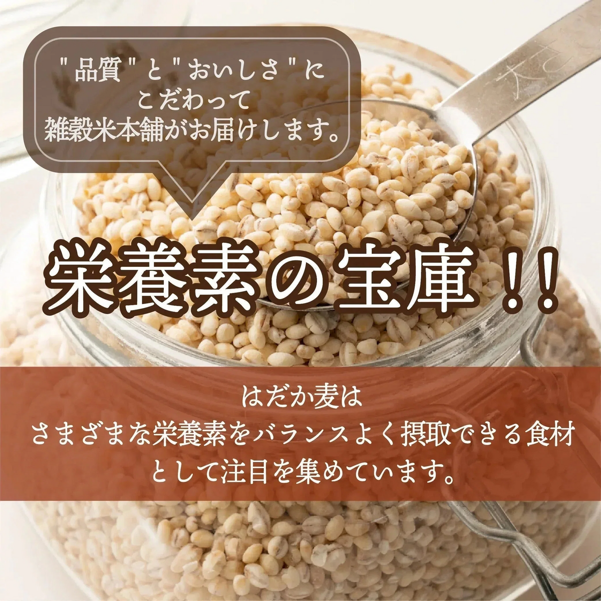 雑穀 雑穀米 国産 はだか麦 2.4kg(400g×6袋)
