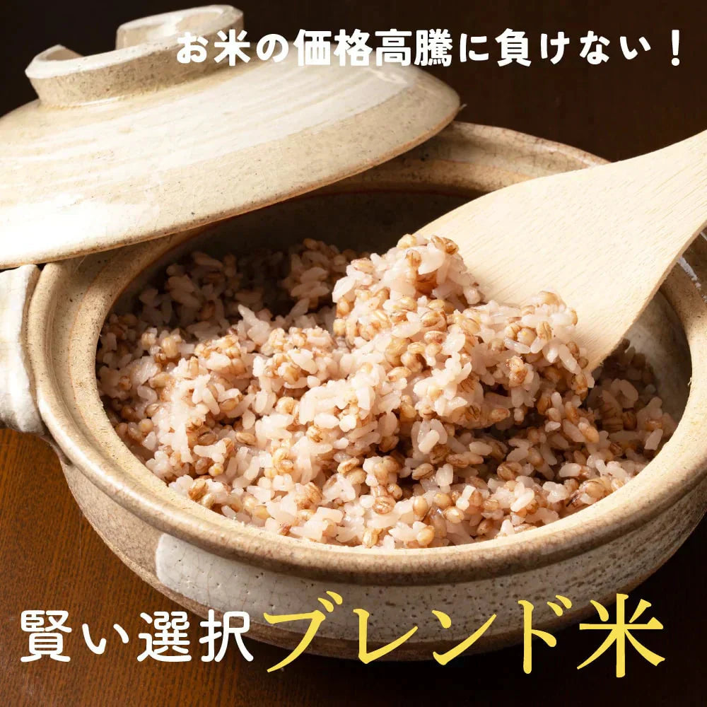 雑穀 雑穀米 国産 家計お助け米 もち麦ミックス 10kg(1kg×10袋)