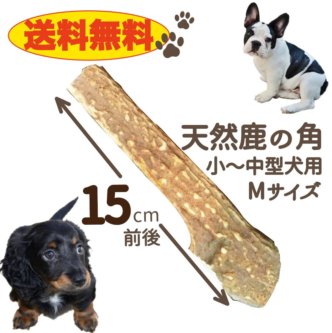 【送料無料】鹿角　Mサイズ　1本　ペット　歯石　口臭　ストレス解消　おもちゃ　お留守番　しか　ツノ