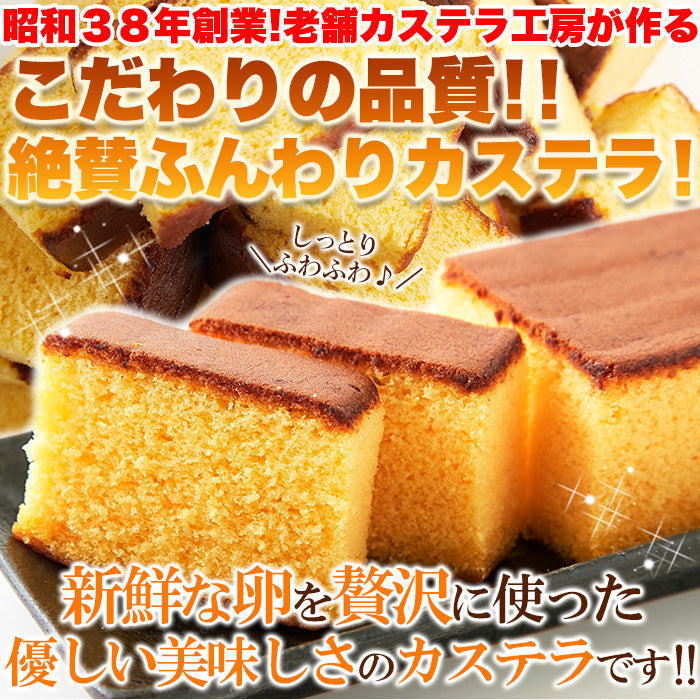【超得ハイパーSALE】本場長崎のプレーンカステラ 大容量 900g 3本セット