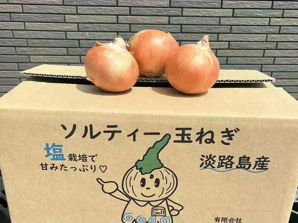 【訳あり】(塩栽培)淡路島産ソルティ玉ねぎ5キロ　美味しいさ甘さグー