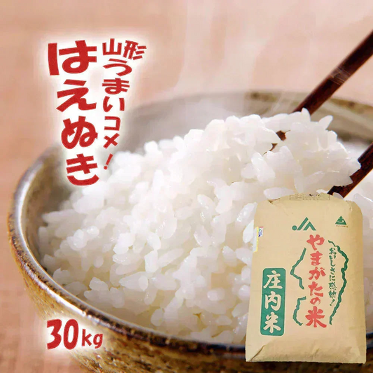 はえぬき 玄米 30kg 山形県産 令和7年産 送料無料 米 30キロ こめ コメ お米 新米 お米30kg はえぬき30kg はえぬき30キロ