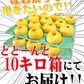 【即日発送】青森県産 りんご トキ 10kg箱 家庭用/訳あり ★トキ 家訳 10kg箱