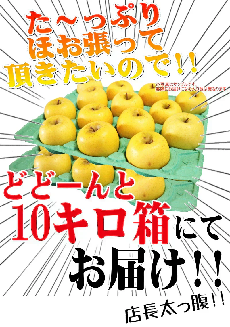 【即日発送】青森県産 りんご トキ 10kg箱 家庭用/訳あり ★トキ 家訳 10kg箱