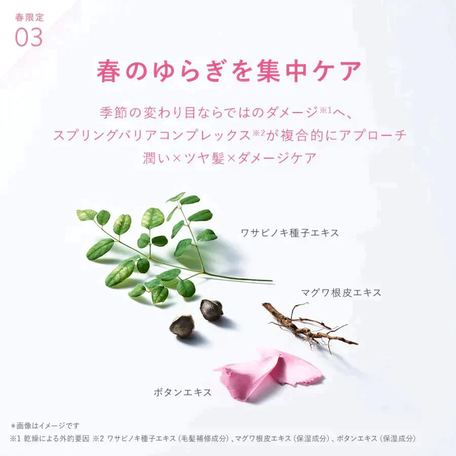 BOTANIST ボタニスト ボタニカルスプリングスムースシャンプー・トリートメントセット ヘアケア ぼたにすと