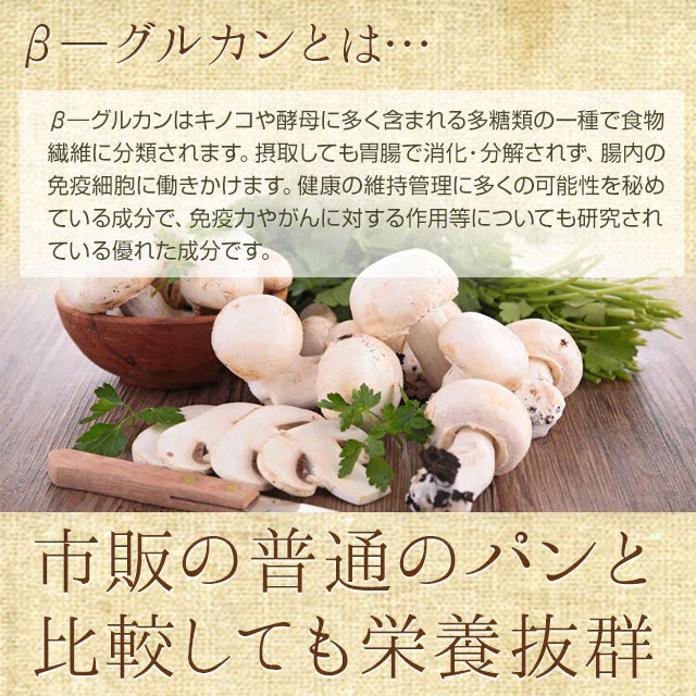オーツ麦ふすまパンあんこクリーム10個セット(プレーン) 低糖質 パン 糖質制限