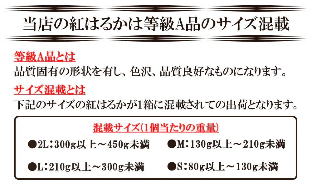 紅はるか さつまいも 5kg 産地直送 産直 土付き さつま芋 薩摩芋 焼きいも 焼き芋 石焼き芋 芋 いも イモ 鹿児島県産 FJK-000