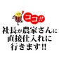 【新米】こしひかり　令和5年埼玉県産　20ｋｇ