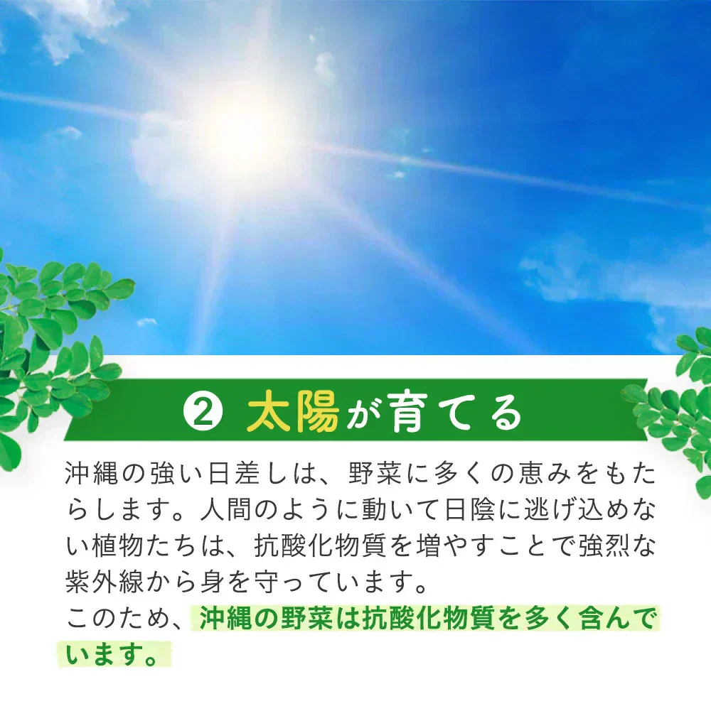 沖縄県産　モリンガ《約1ヶ月分》 モリンガ 粒 150粒 無農薬栽培 着色料 保存料 不使用