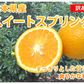 【12月中旬～下旬頃より順次出荷】スイートスプリング 10kg みかん 送料無料 訳あり 熊本県産 爽やかな甘さと香り 蜜柑 温州みかん 八朔 フルーツ