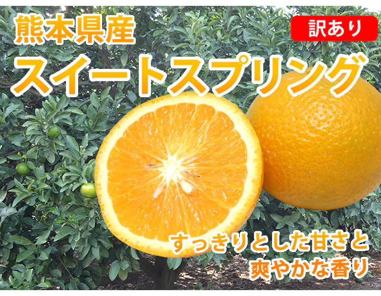 【12月中旬～下旬頃より順次出荷】スイートスプリング 10kg みかん 送料無料 訳あり 熊本県産 爽やかな甘さと香り 蜜柑 温州みかん 八朔 フルーツ