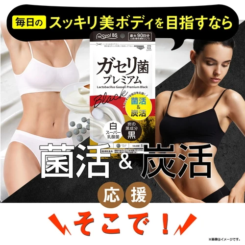 ガセリ菌プレミアム ブラック 約3ヶ月分 90粒 ガセリ菌 乳酸菌 善玉菌 活性炭 チャコール 炭 炭活 菌活 腸活 黒にんにく 黒タマネギ ブラックジンジャー L-カルニチン プロバイオティクス ヨーグルトより手軽 健康 美容 サプリ Royal BS 送料無料 業務用 大容量 サプリメント 日本製