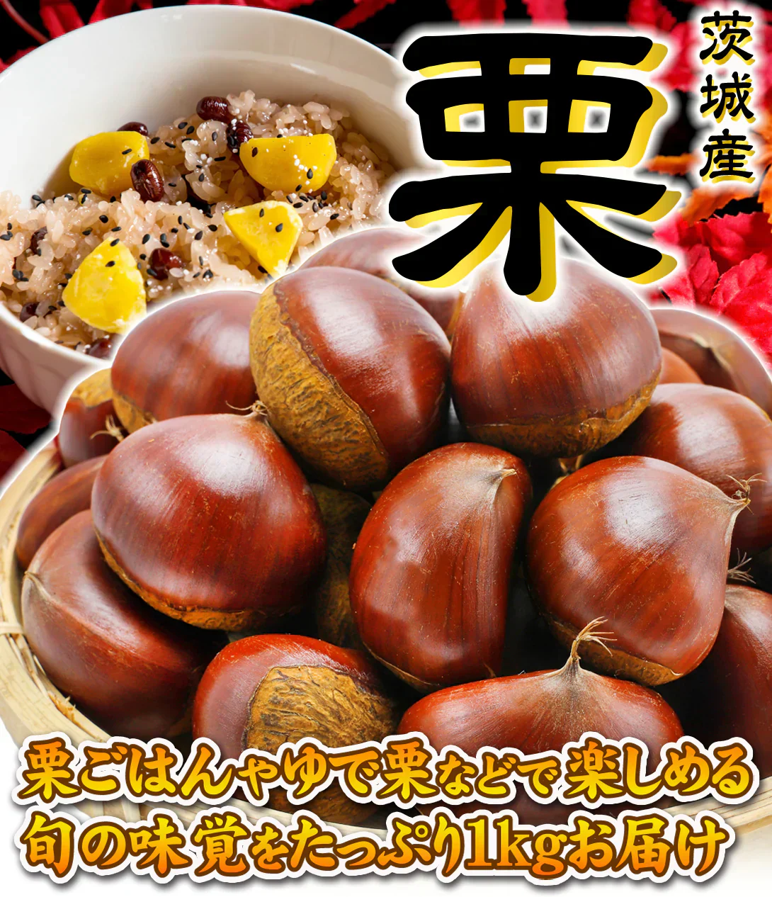 くり 国産和栗 茨城産 生栗 1kg 2Lサイズ