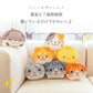 【トラネコ】ランドリーネット バッグ ポーチ かわいい アニマル ブラジャー 下着 靴下 型くずれ防止 / トラベルポーチ 旅行 温泉 ジム プール そのまま洗濯