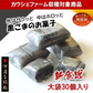 只今ご注文が集中しており予定出荷日よりお時間を頂戴しております。【新食感／黒ごまのお菓子】伊達な絹粒／ごまっこ大袋（サクっとホロっと新食感！黒ごまの味と薫りを追求して真っ黒になった優しい甘さのお菓子です。）【カウシェファーム収穫対象商品】