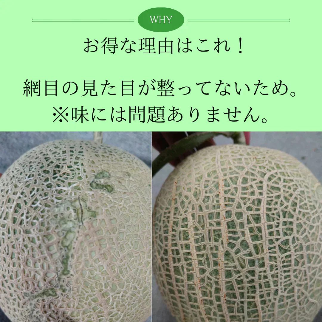 【訳あり】富良野産赤肉メロン　1玉1.6kg以上大玉　2玉入り