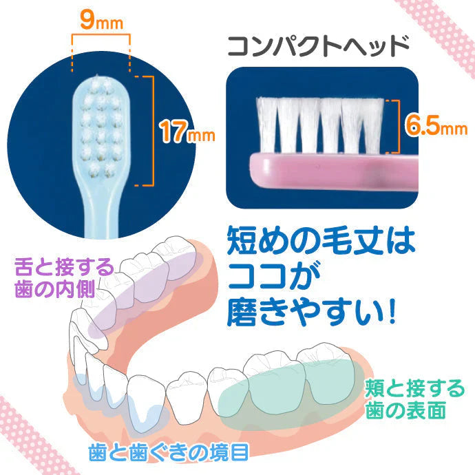 歯ブラシ 仕上げ磨き用 Ci602 Mふつう (リサとガスパール柄) 20本 【Ciメディカル 歯ブラシ】【メール便送料無料】
