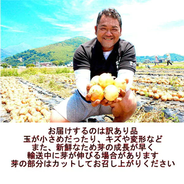 塩たまちゃん　訳あり　箱込10ｋｇ