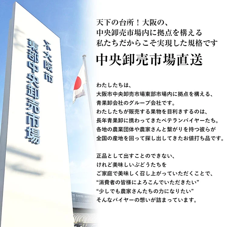 訳あり シャインマスカット 約1kg(2～3房) ご家庭用 お徳用 自宅用 お買い得 ぶどう 産地厳選 ブドウ 種無し 冷蔵便