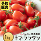 【予約】【2026年1月から順次発送】1kg  トマランタン 笑顔溢れる甘さ♪超濃厚ミニトマト！【東北配送不可】