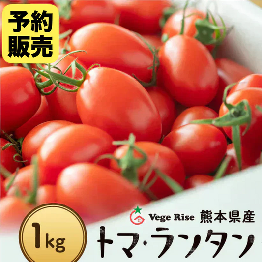 【予約】【2026年1月から順次発送】1kg  トマランタン 笑顔溢れる甘さ♪超濃厚ミニトマト！【東北配送不可】