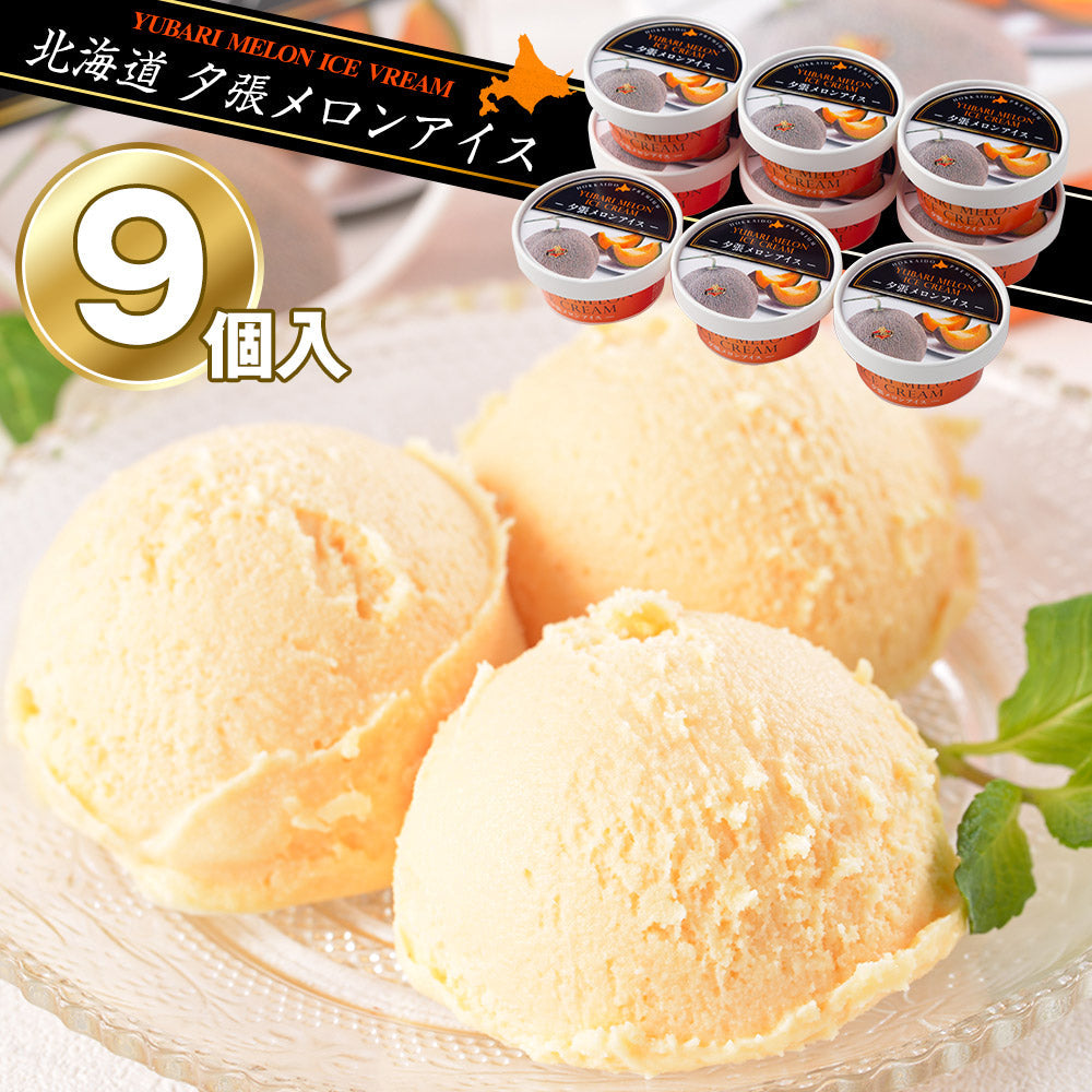 北海道 夕張メロンアイス（9個） セット 詰め合わせ【送料込み】