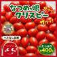 《新感覚トマト》【12月〜1月末日までに発送】【予約】約400g ＼サクサク食感で新感覚！／なつめっ娘クリスピートマト(230~250g+保証分150g)日本一の産地から農家直送 熊本県産 ミニトマト 野菜 青果 フルーツ【カウシェファーム収穫対象商品】