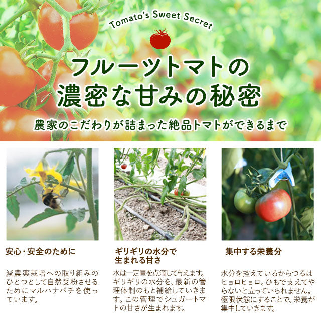 高知県日高村のフルーツトマト入りスープ25包 個包装 送料無料