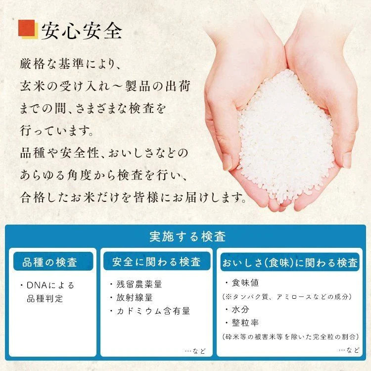 【カートアップNG】【新米】【令和4年産】白米 米 10kg (5kg×2)秋田県産 あきたこまち低温製法米 精米 お米 10キロ アキタコマチ ご飯 コメ アイリスオーヤマ ごはん アイリスフーズ