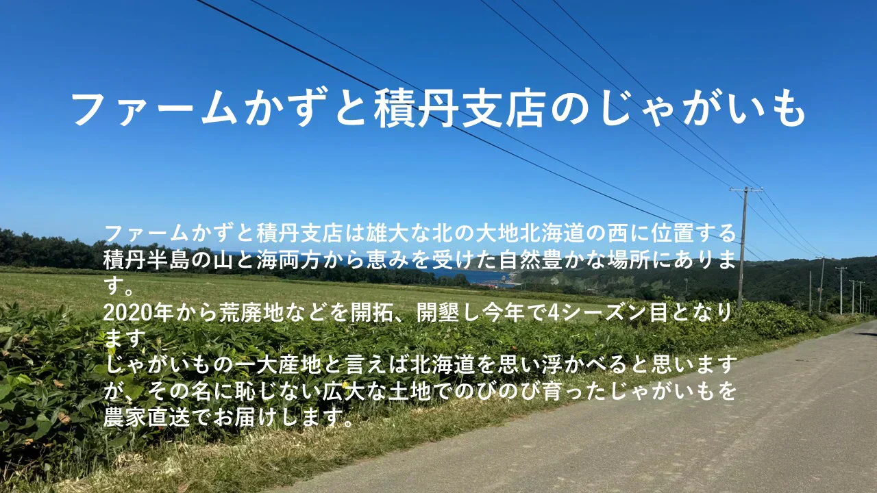 訳あり北海道じゃがいも10kg