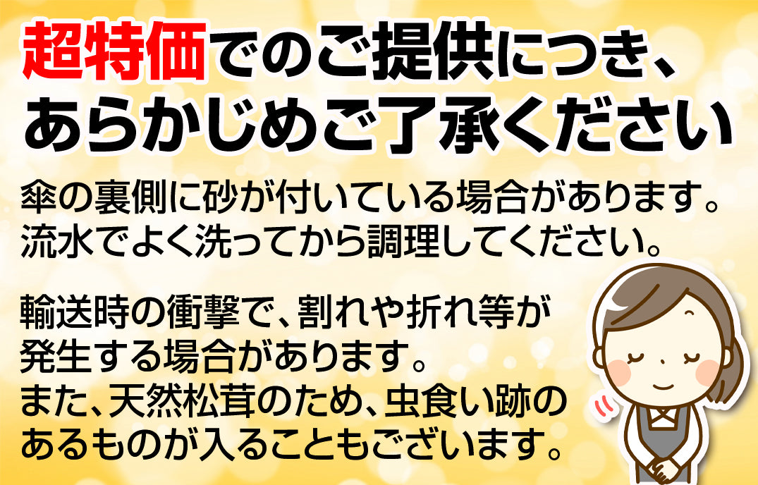 松茸 約500g 北米産 ご家庭用【発送予定：11月中旬より】